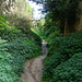 Lößhohlweg
