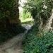 Lößhohlweg