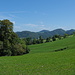 Bergmatten. 