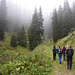 mystische Stimmung im Wald oberhalb Cum Surses