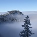 herrlicher Blick übers Nebelmeer zur Napfflue