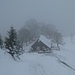 Alp Trachsuegg - vom Nebel eingenommen