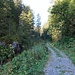 Der Talweg nach Kelmen...