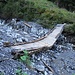 Die Brücke über den Karbach wurde durch eine Mure stark beschädigt.