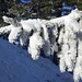 schöne Winterimpression - im Kleinen ...