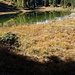 è sempre il lago Hanensee