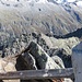 Blick zum Zwillingsköpfl
