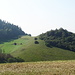 Blick auf den Haselbacher Buck