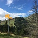 Den kleinen Aubrig schenke ich mir, weshalb ich ihn hier auch hinter der dürren Tanne versteckt habe.