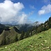 sieht zwar grün aus, ist aber weiterhin sehr sehr erdig