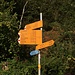 fehlt auch hier