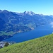 Le Walensee vu de Lüsis 