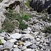  Montée du Valsloch. Mieux vaut descendre de l'autre coté. 