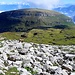 a motte de beurre derrière le bouquetin c'est le Gamserrugg. Mais lui n'a pas souhaité donner son nom. 