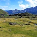  Vers le col du Sattel. Le col du col, quoi. 