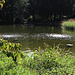 Teich im Schlosspark