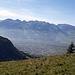 Alviergruppe