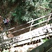 Übergang zur Burg Boymont