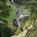 Unten bei der Alp werden Kühe unter großem Gebimmel sowie Heeey- und Hooo-Rufen über eine Bachbrücke getrieben.