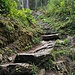 Der felsige Weg der Simme entlang bis zur Barbarabrücke.