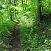 sendero humedo