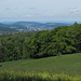 paisaje de color verde