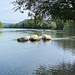 Die Aare ist erreicht.<br /><br /><br />