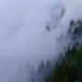 Lärchen im Nebel beim Plattenschuss gegenüber der Capanna Ribia.