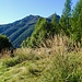 Alpe del Pianaccio