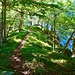 Liebliche Wegpassage im Abstieg von der Alp Ribia ins Valle Vergeletto.