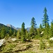 Ambiente beim Abstieg vom Lago della Cavegna zur Alpe Sfii.
