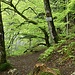 Abzweig auf einen schön ("gefährlich")en Weg. 