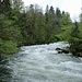 Am Saut-du-Doubs. 