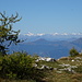 Monte Croce e Alpi Bernesi.