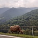 Ritorno a Muggio. Dopodiché seguirò il cartello per Monte Casima per oltrepassare il Breggia e portarmi sulla sponda destra orografica della valle. 