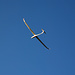 Flieger II
