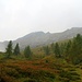 Sentiero per Passo Bareta