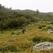 Abbandoniamo il sentiero per il Passo Bareta per un bel tratto wild