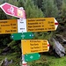 Percorsi circa 600mt su sterrata arriviamo al bivio e seguiamo per il Passo Bareta