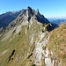 Links im steilen Hang geht es, gut gesichert, hinunter in den Altenalpsattel.