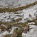 Hier steht man unter einer Felswand, die an dieser Stelle etwa 2,5 Meter hoch ist, und sich hier, genau in der Mitte, recht leicht erklettern lässt.