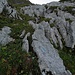 appena visibili i segnavia