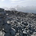 peccato che il cielo non fosse piu' limpido e quindi la visibilità un po' ridotta. Comunque le cime importanti le abbiamo ben riconosciute!