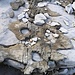 curiose formazioni rocciose