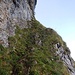 Die Chammhaldenroute ist vom ersten Schritt an anspruchsvoll: An der erwähnten Felswand, bei den ersten Markierungen, führt ein ausgesetztes Grasband rechts ansteigend hinauf...