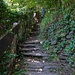 Treppen in Monschau