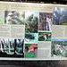Informationen über den Südtiroler Wald