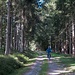 Richtung Schönberg