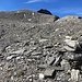 die superbe Abstiegsroute gefunden: meist nahe an den Felsabbrüchen ostnordöstlich des Piz Güda