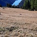 lago di Livigno